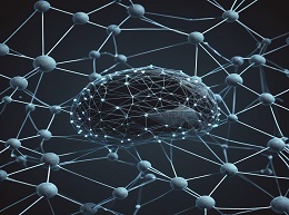 The Network Imperative: How to Survive and Grow in the Age of Digital Business Models