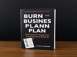 Burn the Business Plan: What Great Entrepreneurs Really Do